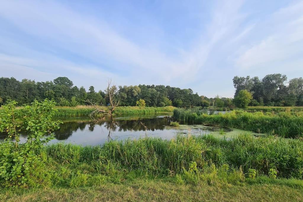 Вілла Dom Male Mazury Drozdowo Екстер'єр фото